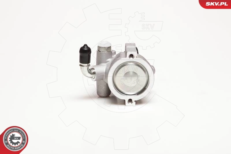 Купити 10SKV003 SKV Насос гідравліки