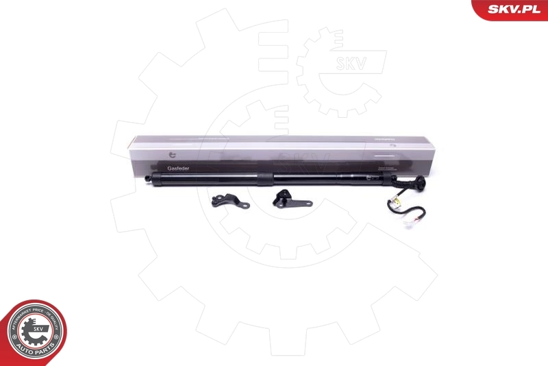 Купити 6891079015 Toyota Амортизатор двері багажника