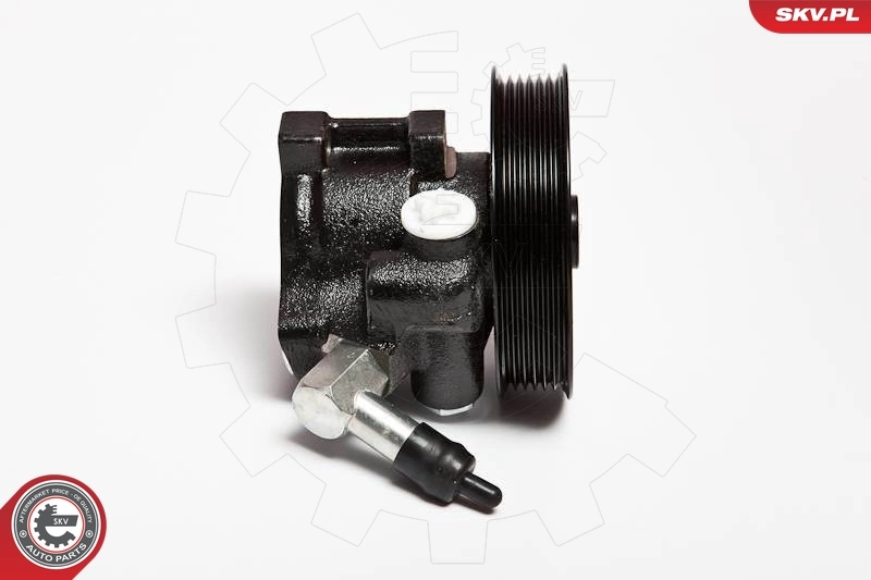 Купити 10SKV066 SKV Насос гідравліки