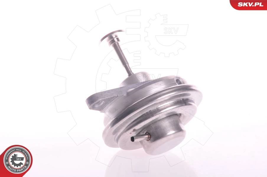 Клапан EGR SKV 14SKV022 ціна, від 26.08 USD