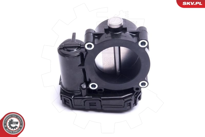 Блок дросельної заслінки SKV 12SKV120 ціна, від 158.66 USD