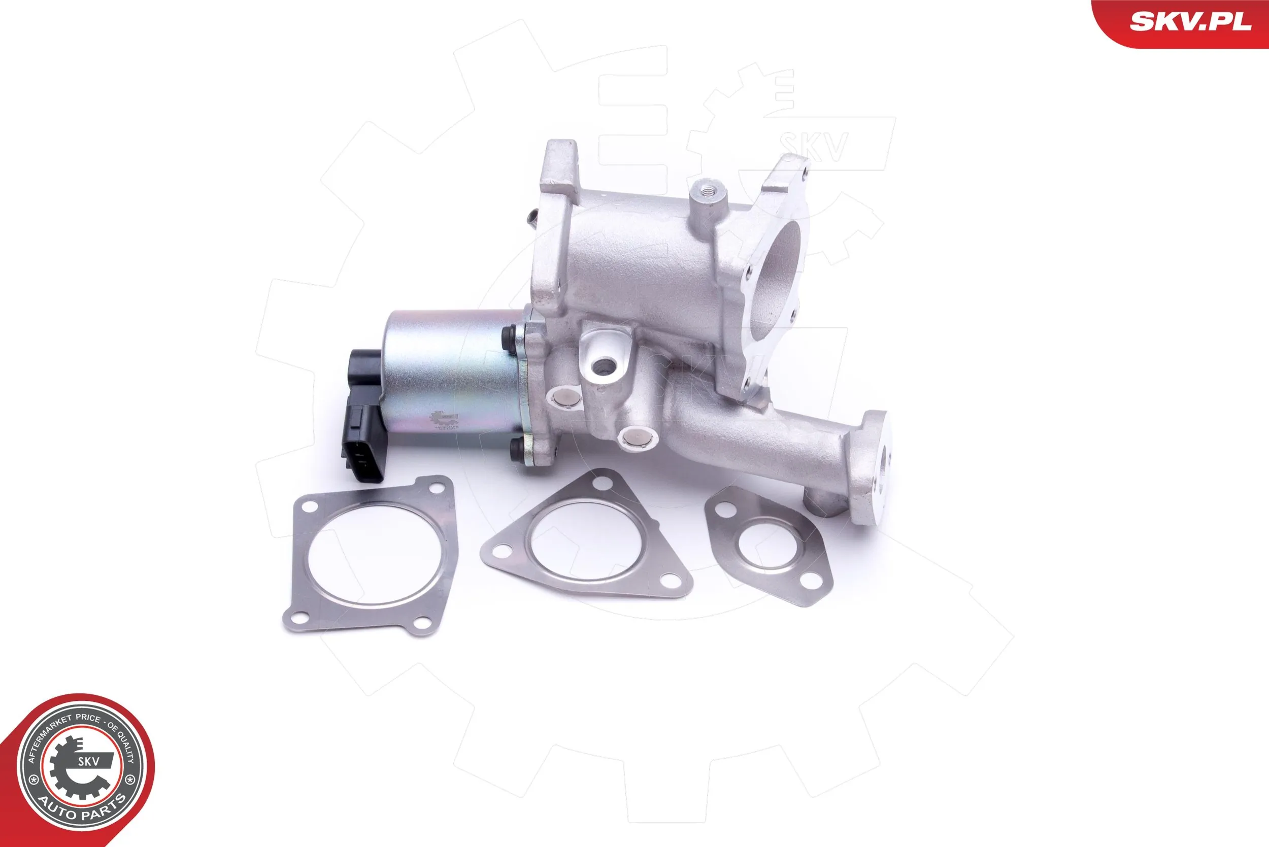 14SKV166 SKV Клапан рециркуляції відпрацьованих газів EGR