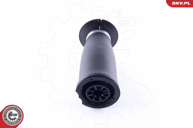 Пневморессора задня SKV 58SKV021 ціна, від 65.94 USD