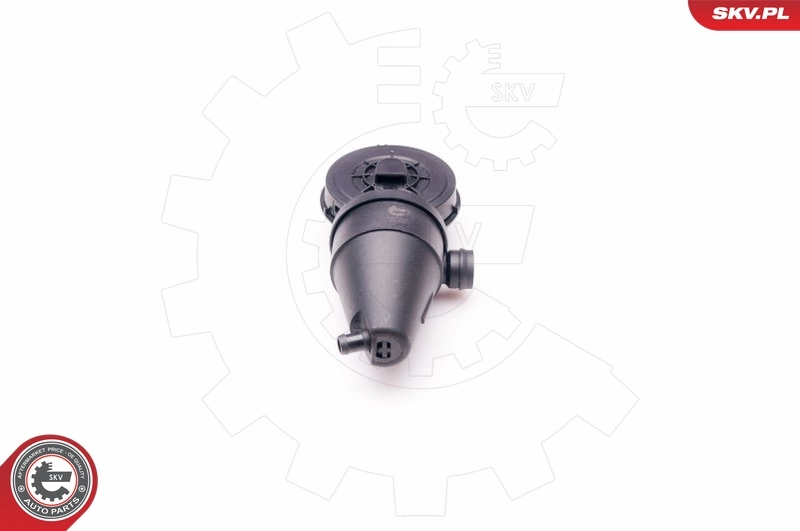 31SKV038 SKV Клапан PCV (вентиляції картерних газів)