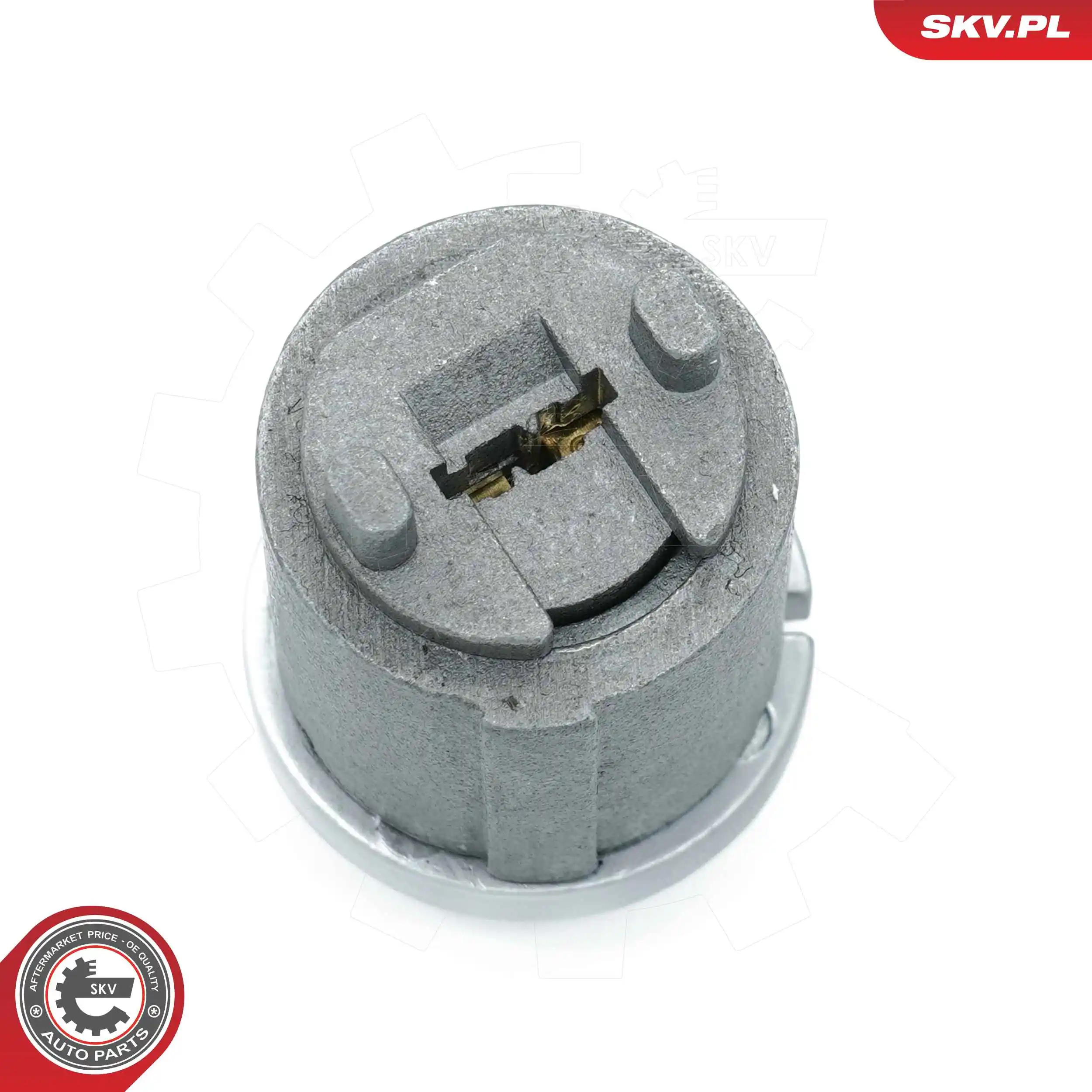 Купити 65SKV512 SKV Личинка замка запалювання