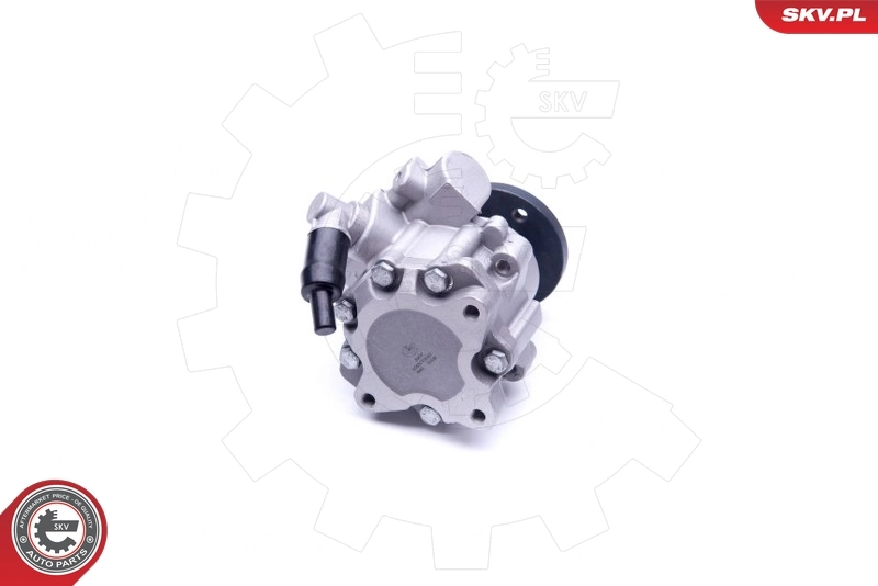 Насос ГУР 10SKV247 SKV