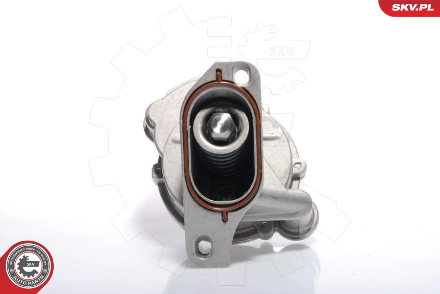 Насос вакуумний SKV 18SKV009 ціна, від 85.29 USD