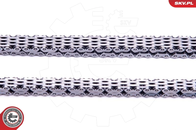  SKV 21SKV219 ціна, від 133.54 USD