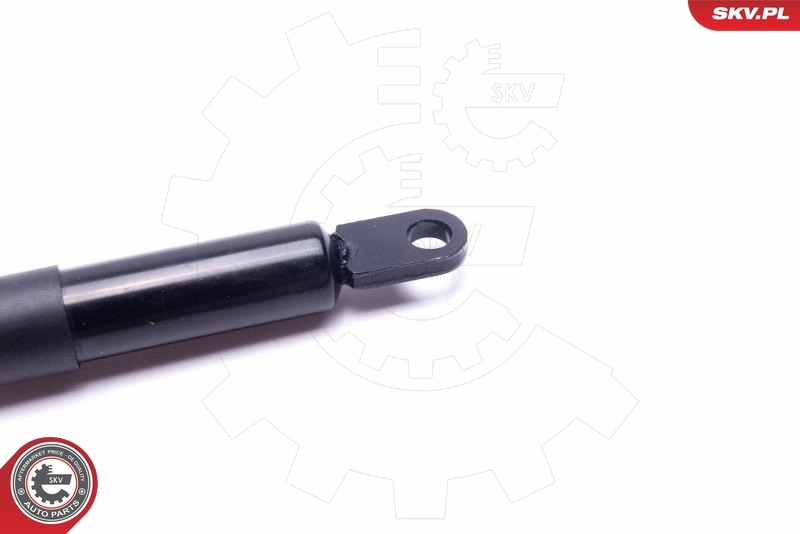 Амортизатор двері задньої Polcar 6007AB1D ціна, від 7.37 USD