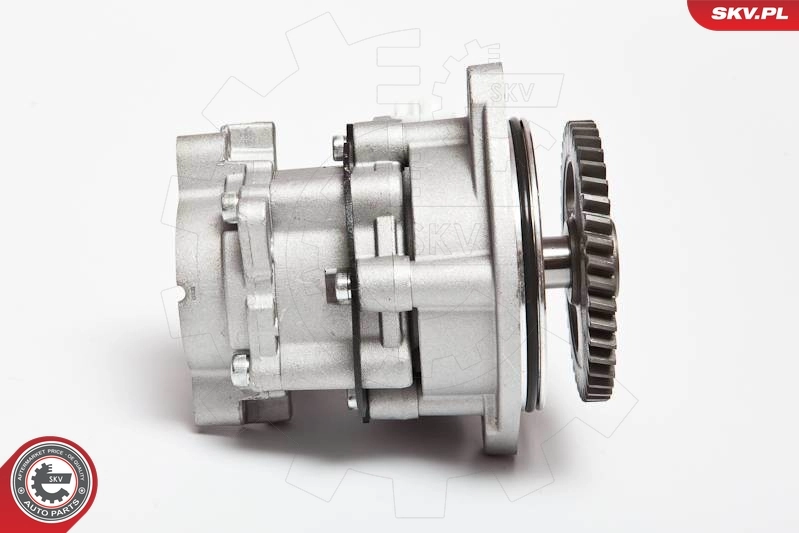 Купити 10SKV045 SKV Насос гідравліки