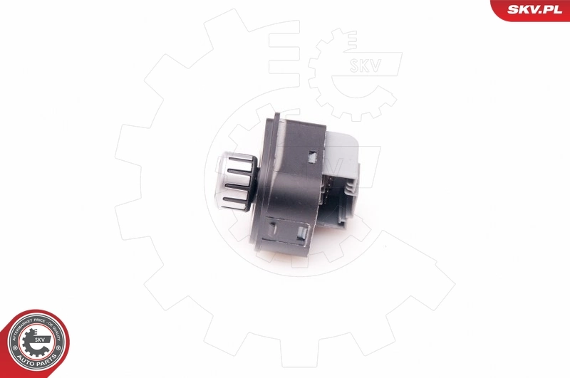 Блок управління дзеркалами заднього виду SKV 37SKV608 ціна, від 10.23 USD