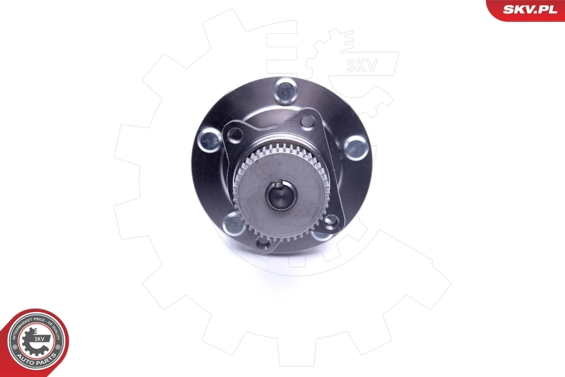 Купити 29SKV232 SKV 