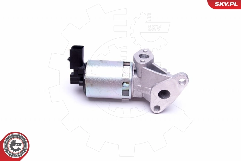 Клапан EGR SKV 14SKV208 ціна, від 59.66 USD