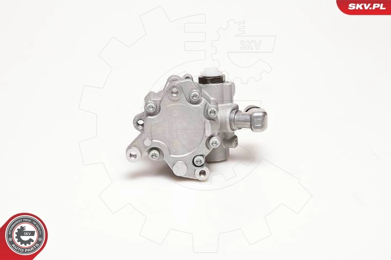 Купити 10SKV124 SKV Насос гідравліки