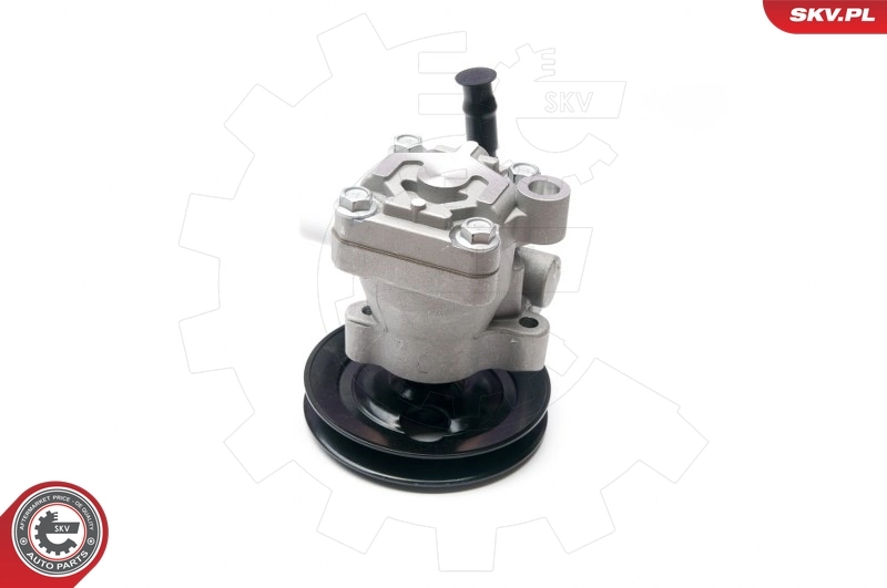 10SKV200 SKV Насос гідропідсилювача