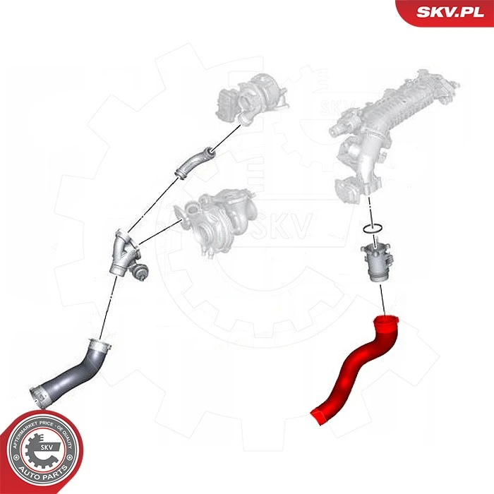 Купити 43SKV427 SKV Шланг/патрубок интеркуллера