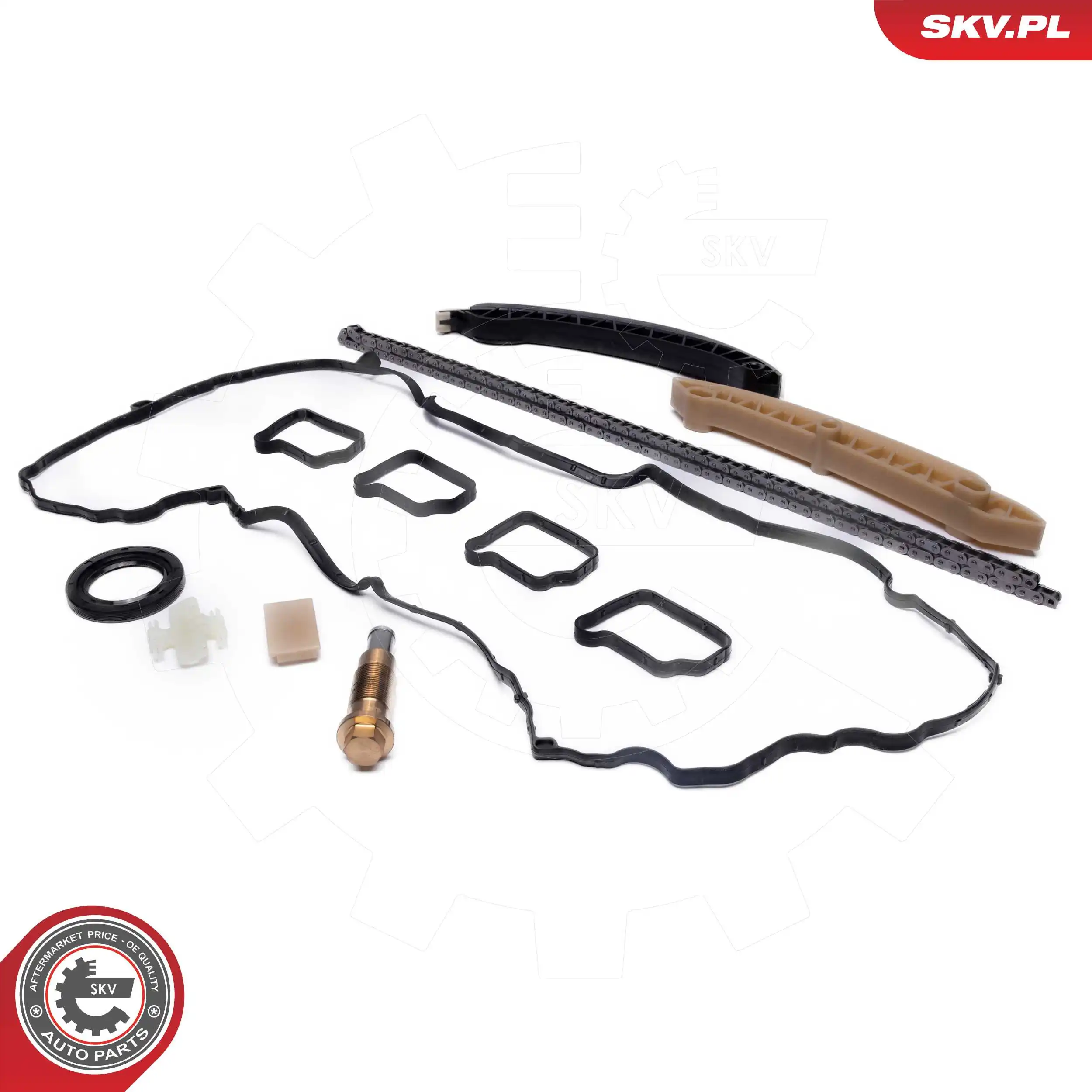 21SKV263 SKV Ланцюг ГРМ, комплект