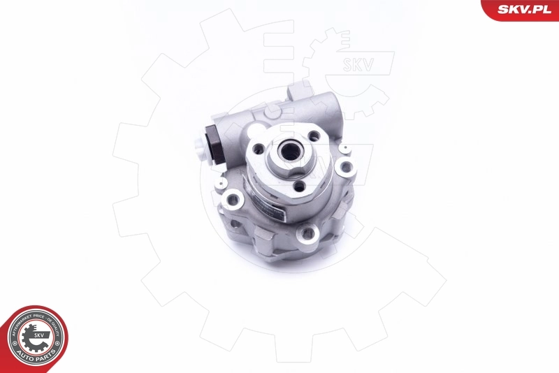 10SKV256 SKV Насос гідропідсилювача