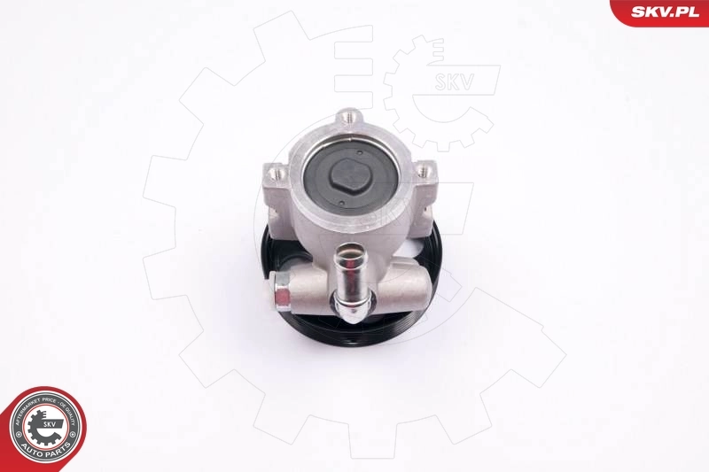 10SKV174 SKV Насос гідропідсилювача