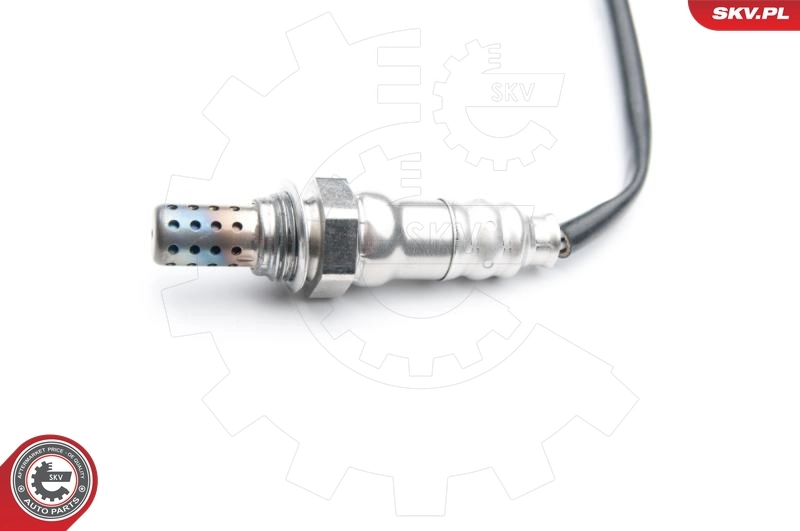 09SKV733 SKV Датчик кисню