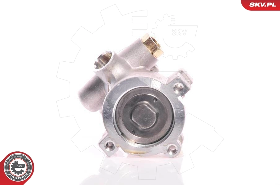 Насос ГУР 10SKV080 SKV
