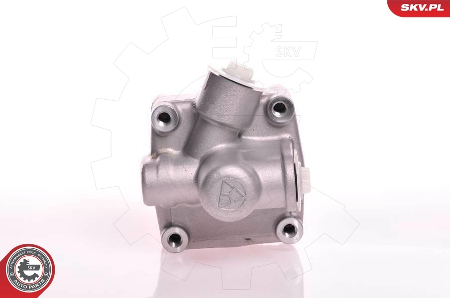 Купити 10SKV125 SKV Насос гідравліки