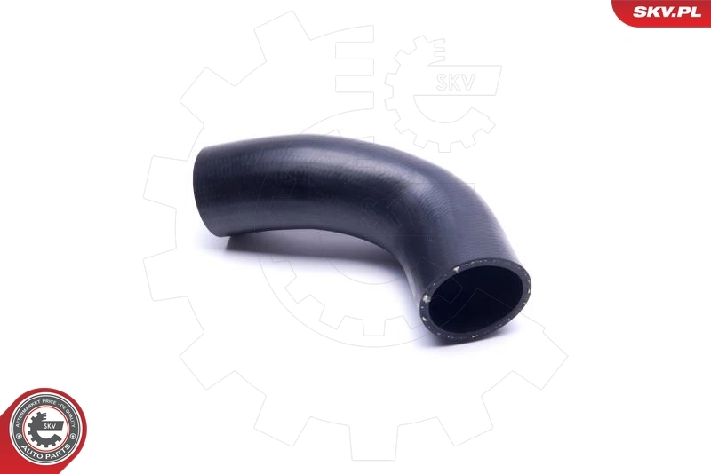  SKV 24SKV545 ціна, від 18.16 USD