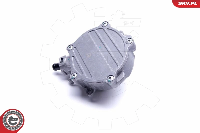 Купити Вакуумний насос Audi A8 D3 4E2, 4E8