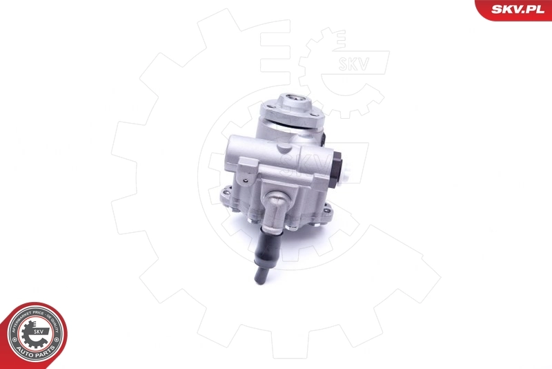 Купити 10SKV256 SKV Насос гідравліки