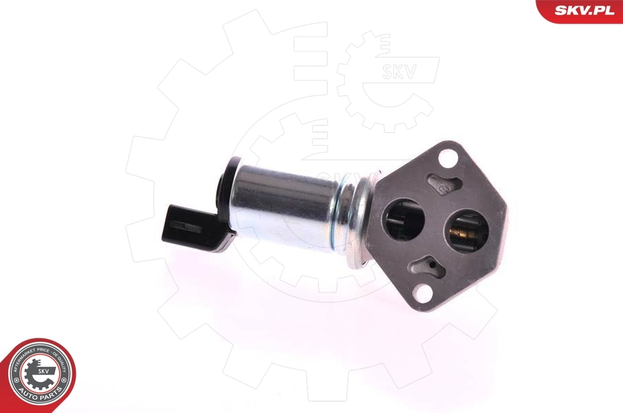 Клапан холостого ходу Ford F53E9F715AA ціна, від 48.34 USD