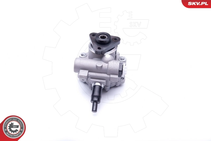 Купити 10SKV249 SKV Насос гідравліки