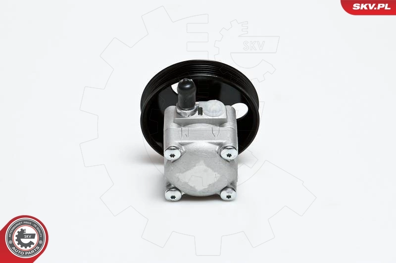 Купити 10SKV027 SKV Насос гідравліки