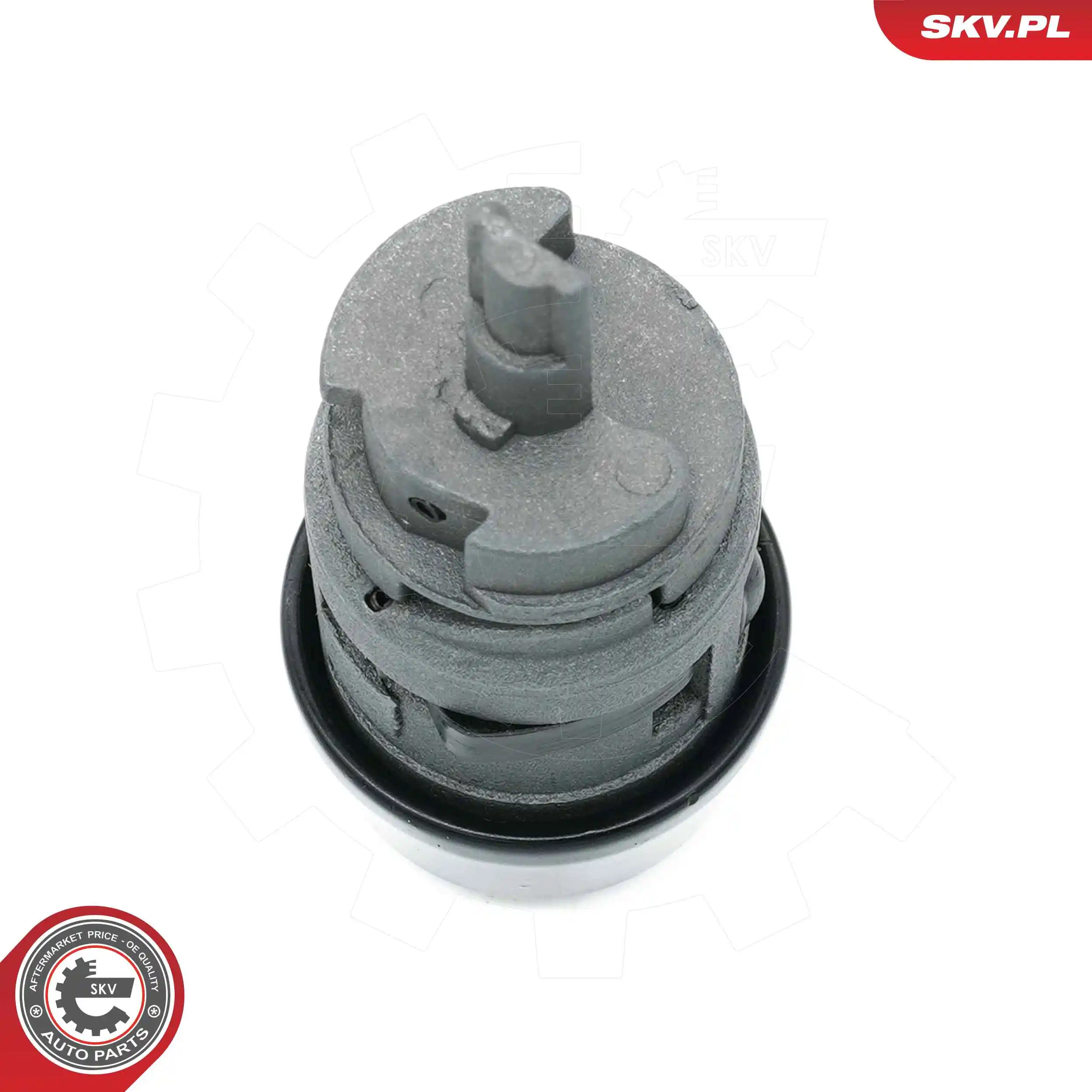 Купити Личинка замка запалювання Audi 80 B2 81, 85