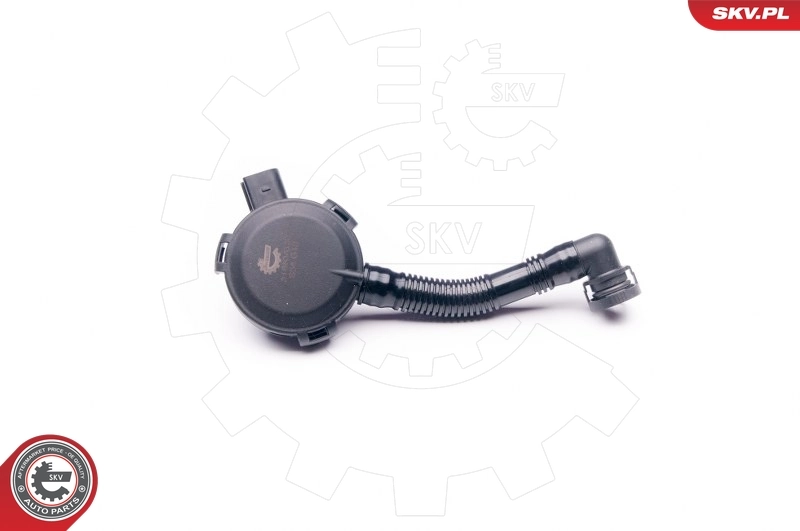 31SKV020 SKV Клапан PCV (вентиляції картерних газів)
