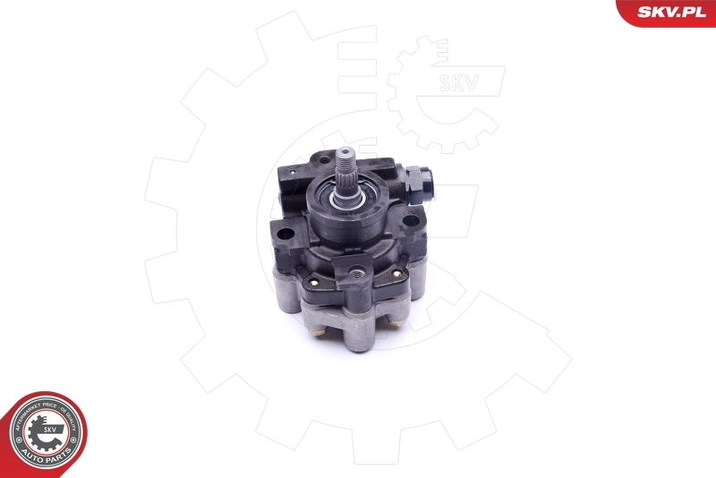 Купити 10SKV267 SKV Насос гідравліки