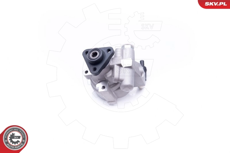 Купити 10SKV278 SKV Насос гідравліки