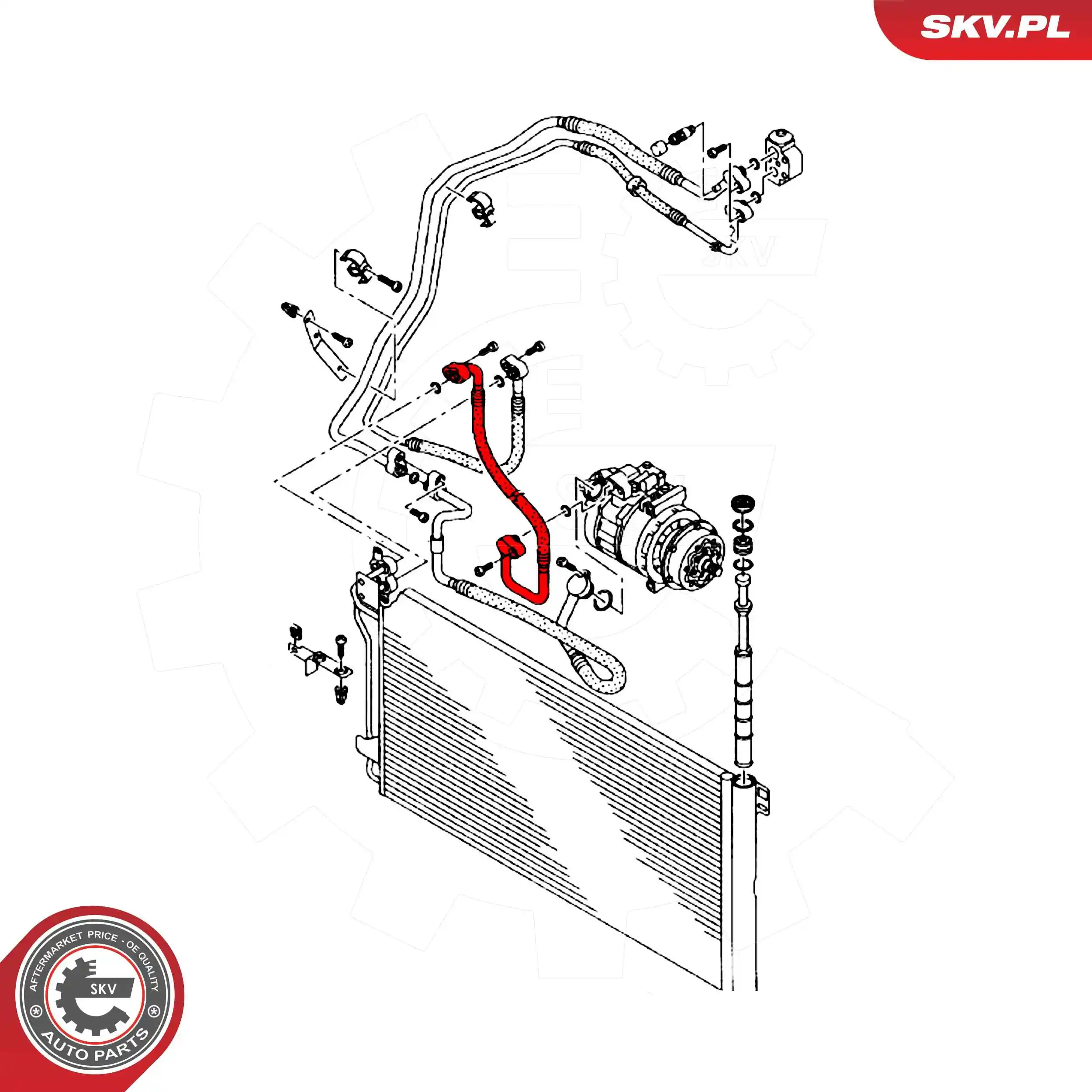 Купити 54SKV724 SKV 