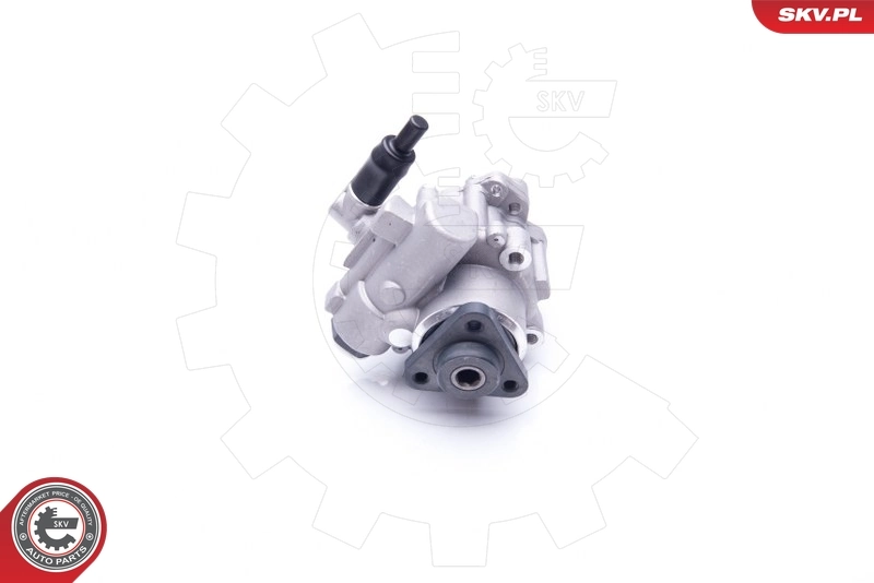 Насос ГУР 10SKV196 SKV