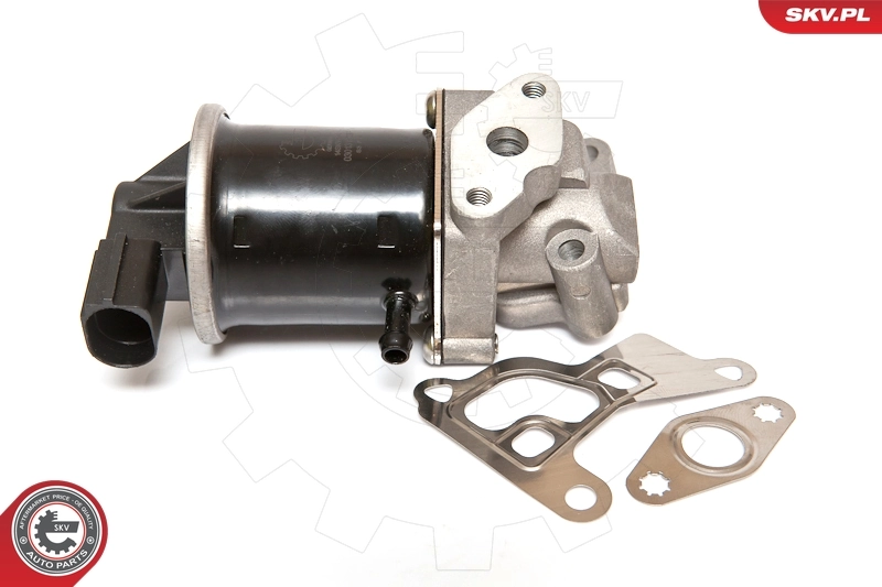 14SKV074 SKV Клапан рециркуляції відпрацьованих газів EGR