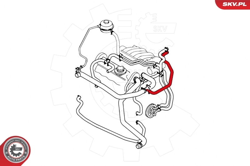 Шланги системи охолодження SKV 43SKV728 ціна, від 18.78 USD