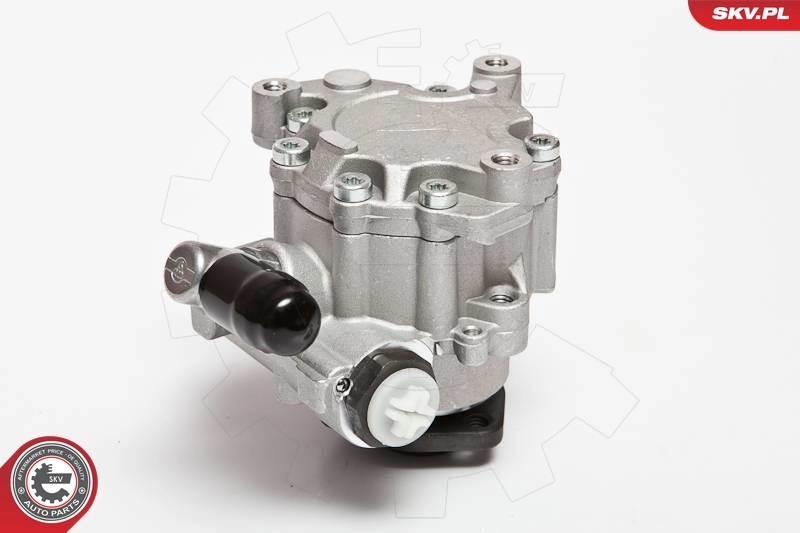 Купити 10SKV043 SKV Насос гідравліки