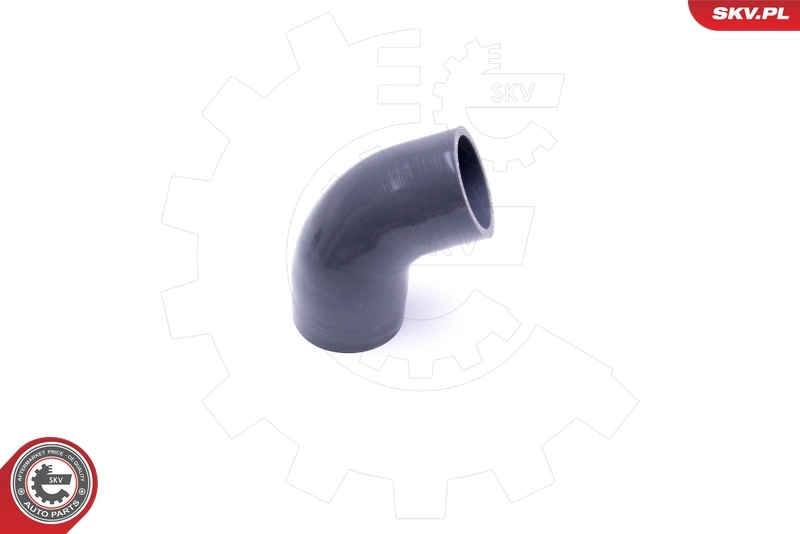  SKV 43SKV129 ціна, від 22.10 USD