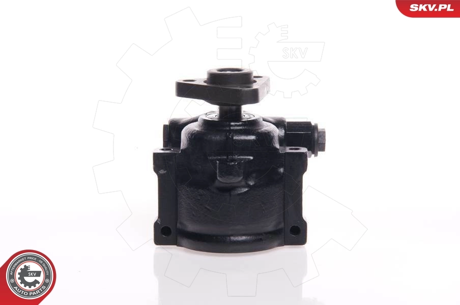 Насос ГУР 10SKV144 SKV