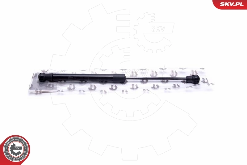 Амортизатор двері задньої General Motors 0176387 ціна, від 5.34 USD