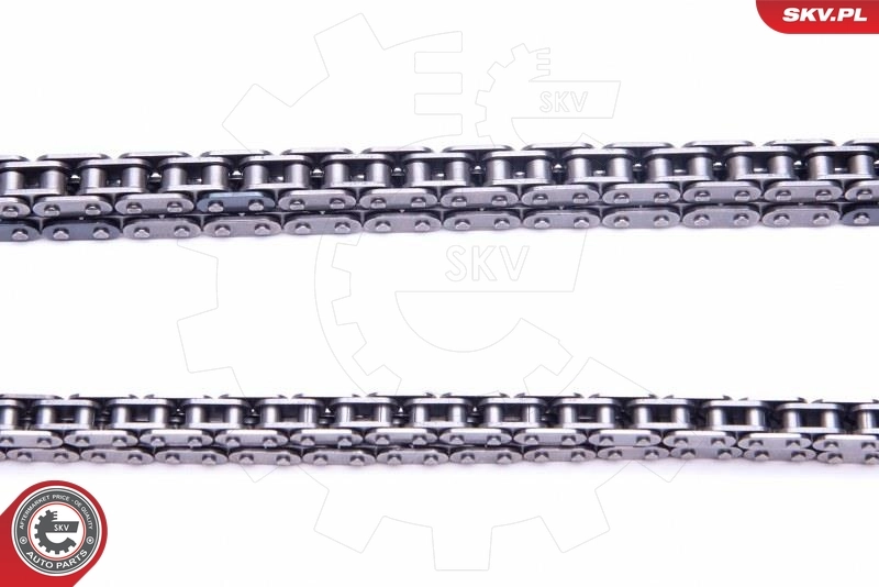 Ланцюг ГРМ, комплект SKV 21SKV188 ціна, від 112.38 USD