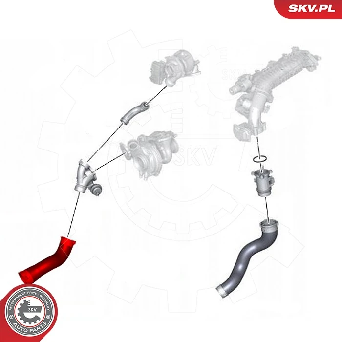 Купити 43SKV429 SKV Шланг/патрубок интеркуллера
