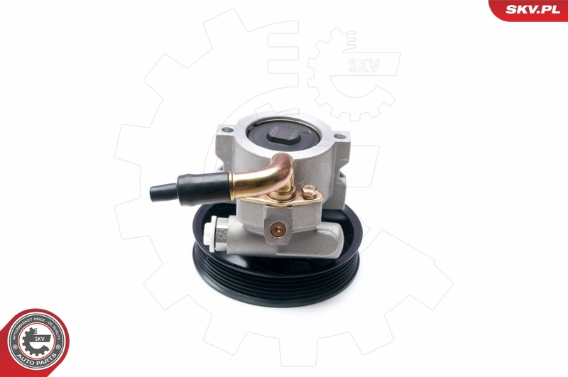 Купити 10SKV134 SKV Насос гідравліки