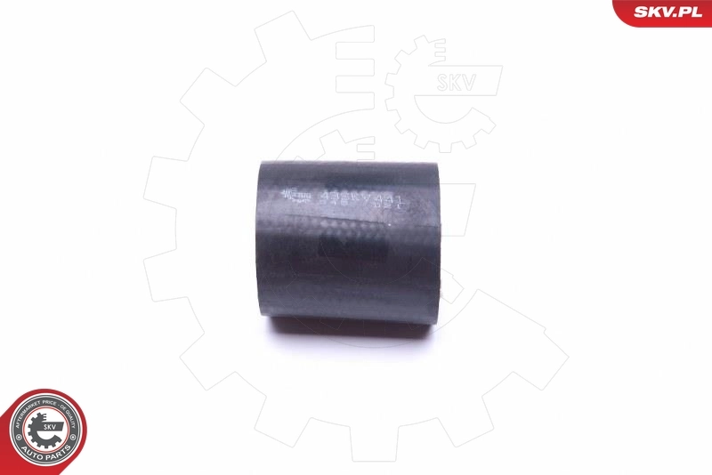 Купити VW2E0145834B Wender Шланг/патрубок интеркуллера