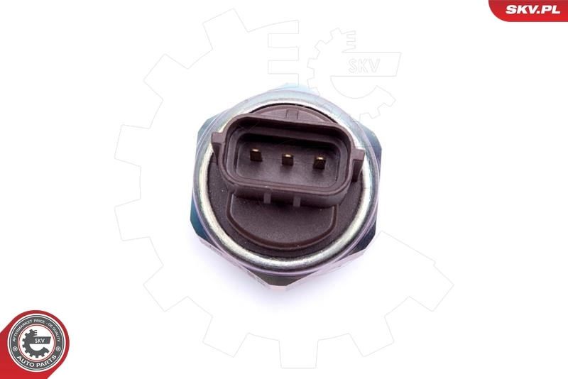 Датчик тиску палива SKV 17SKV738 ціна, від 52.95 USD