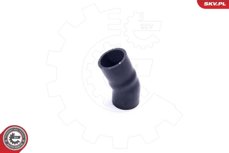  SKV 54SKV203 ціна, від 6.87 USD